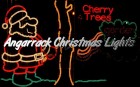 Angarrack Christmas Lights - Cherry Trees