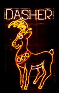 Reindeer Dasher 2013