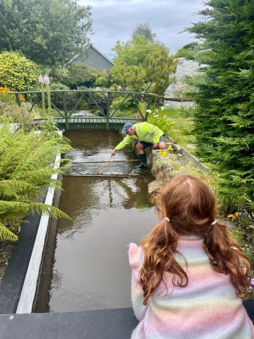 Fishing for the last yellow duck